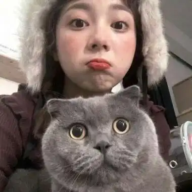 抱着猫的女生头像可爱,高清漂亮女生与猫高清头像图片