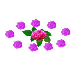 250_250gif 动态图 动图