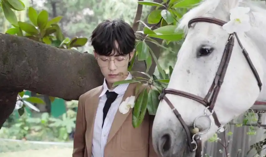 时尚芭莎|肖战 - 堆糖,美图壁纸兴趣社区