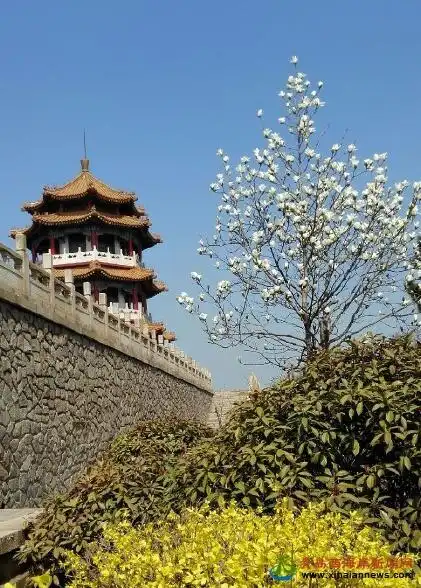 老黄岛北海公园曾经和正在盛开的鲜花