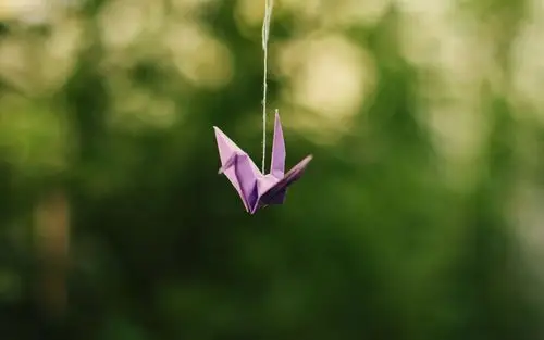 千纸鹤,艺术壁纸-回车桌面