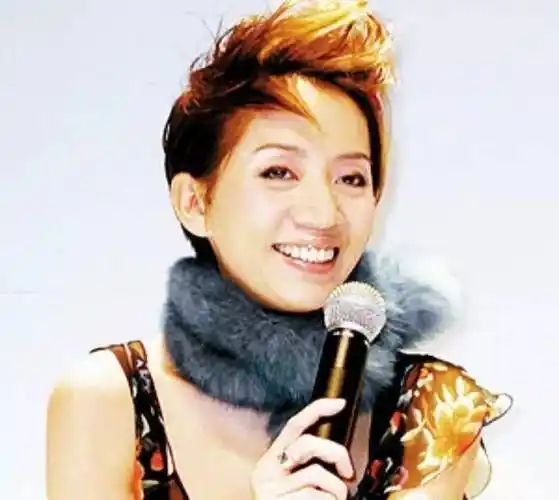 为什么梅艳芳被称为"香港姑娘",她代表着怎样的香港精神?_时代_舞台_