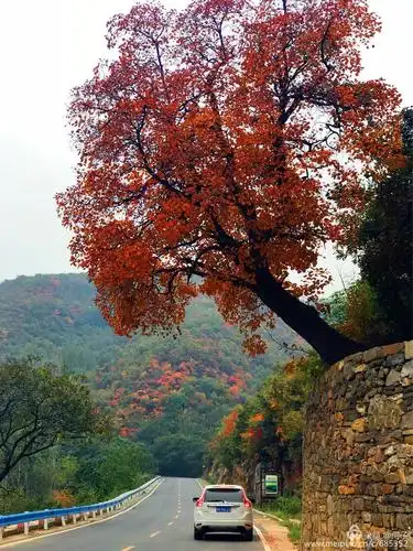 就这样吧,从此山水不相逢