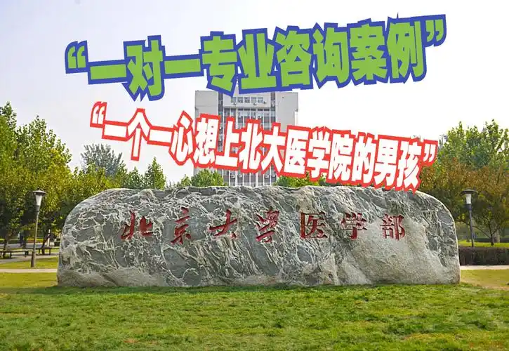 "一对一专业咨询案例"——"一个想上北大医学院的男孩"