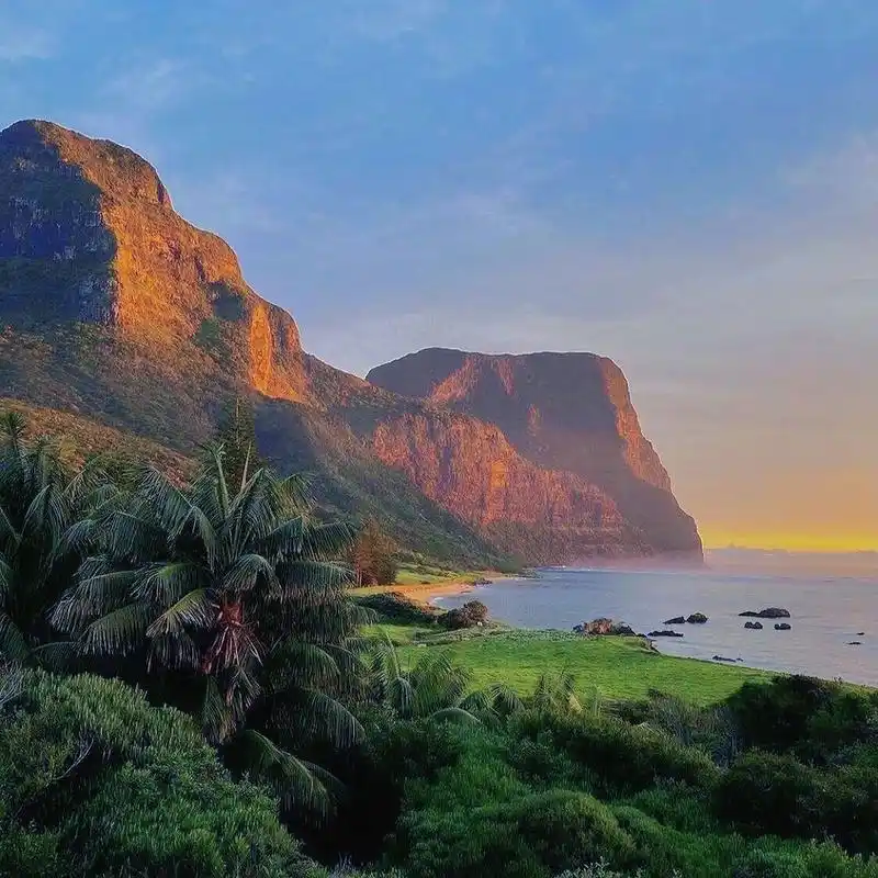 绝美大自然/ins风高级感/背景图分享 我看见野花压满枝头沿途生长