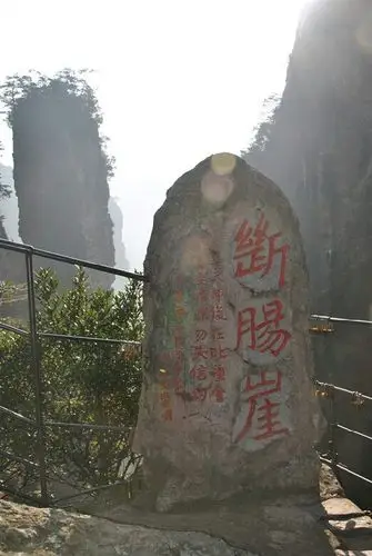 小龙女在跳下断肠崖16年后,杨过的