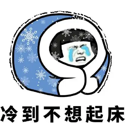 文字表情包 搞笑 逗 魔性 天气太冷了 冷到不想起床