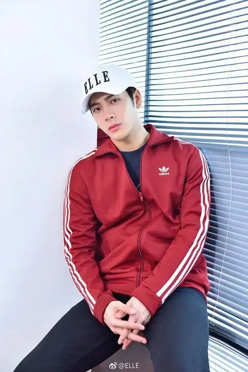 王嘉尔肖像代言使用明星王嘉尔肖像照片怎么收费的