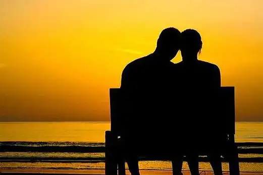 组图一头驴子的梦想