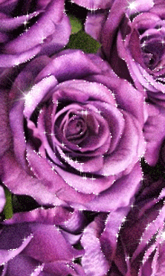 gif# #鲜花# #玫瑰# 灬铃兰灬采集