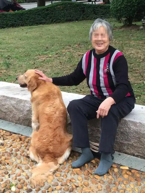 捡回流浪狗与婆婆发生争执,发现狗被扔心生报复,看清事实很暖心