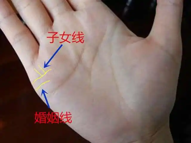 握拳怎么看生几个孩子有图解吗