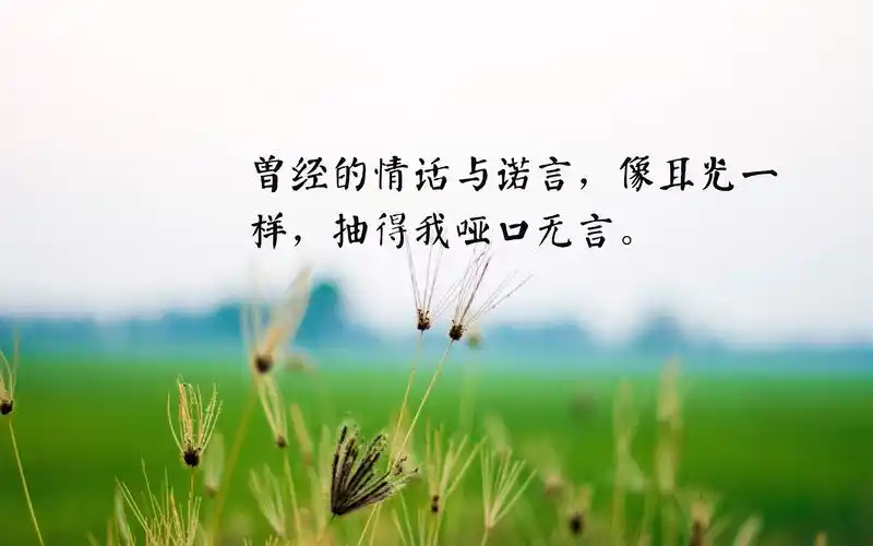 心很累很凉的伤感短句图片