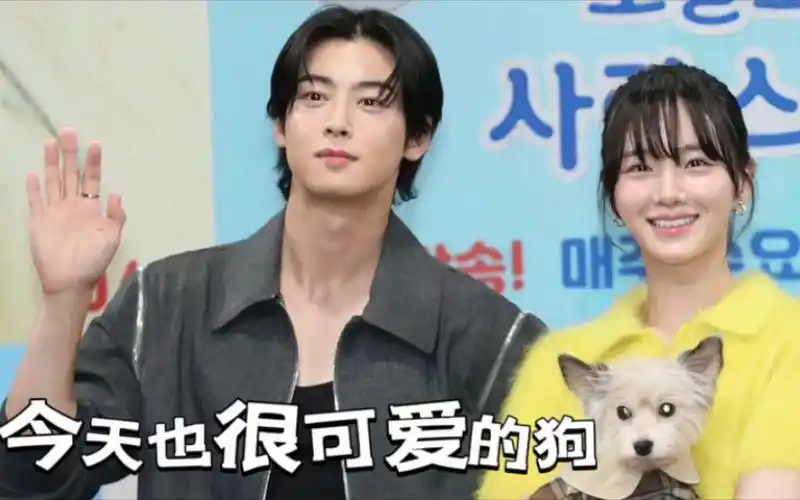 他,一场奇幻爱情剧上演了…… #今天也很可爱的狗 #韩剧推荐 #车银优