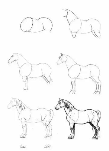 工笔画白描马的50种基本画法