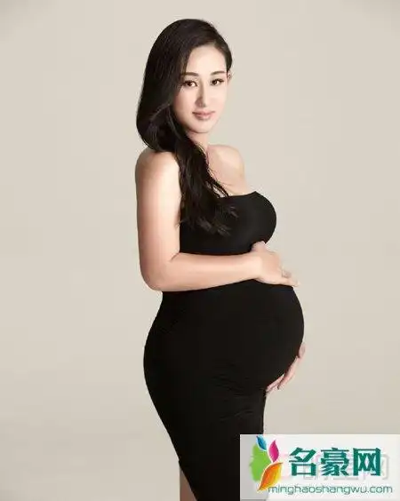 赵文卓老婆三胎九月降生 大尺度孕照惊呆众人-明星资讯-名豪网