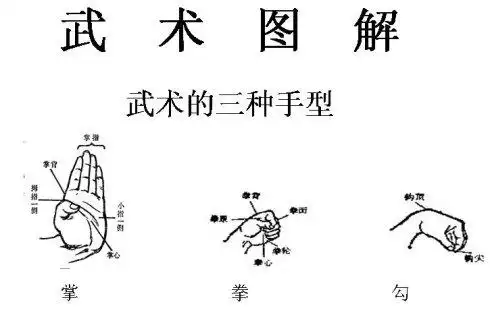 规定拳教案(公开课)