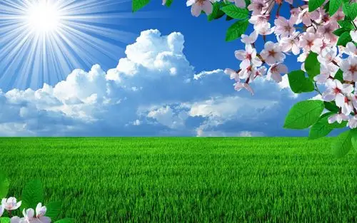 精美锁屏壁纸217