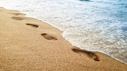 在海滩上的脚印图片