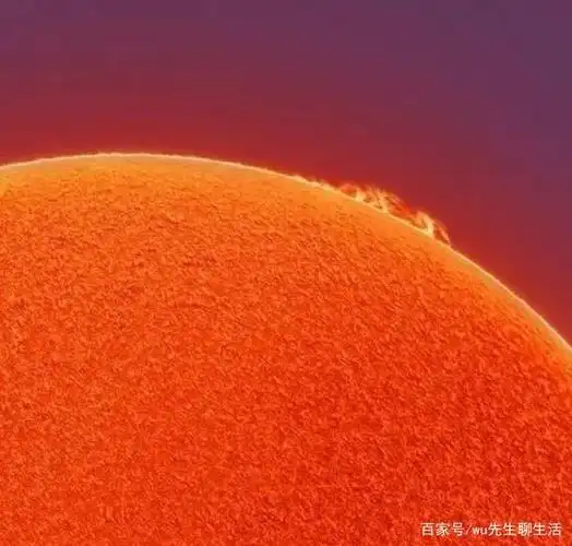 太阳是我们地球上所有生物赖以生存的能源,关于它的传说由古流传至今