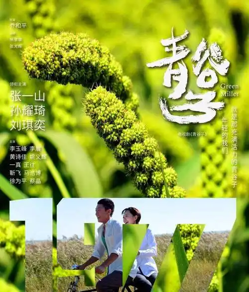 张一山主演《青谷子》地方台播出电视剧《青谷子》是张一山2015年的