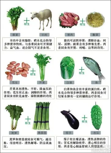 食物相克相生表