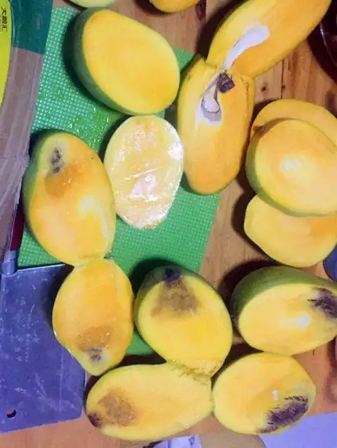 女子买了群里推荐的芒果切开发现坏掉了