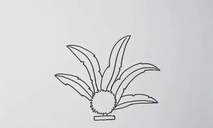 简笔画教程    先画出中间部分然后画出五片毽子羽毛鸡毛毽简笔画鸡毛