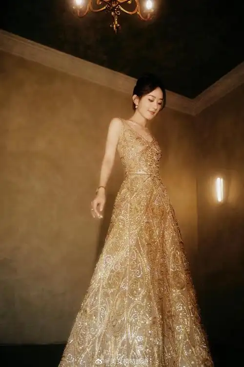 赵丽颖一身高定鎏金镂空礼服裙