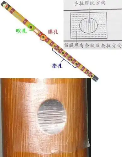 上海在哪买笛膜?