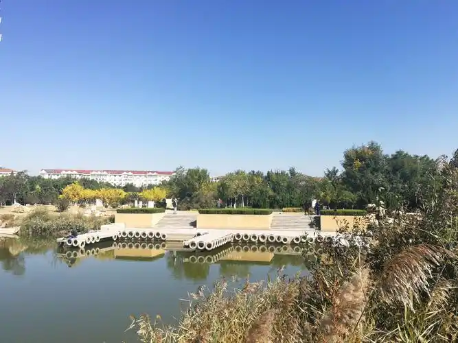 大港湿地公园 - 美篇