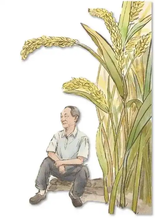 科学家小故事100则袁隆平妈妈稻子熟了一封跨越时空的思念一份改变