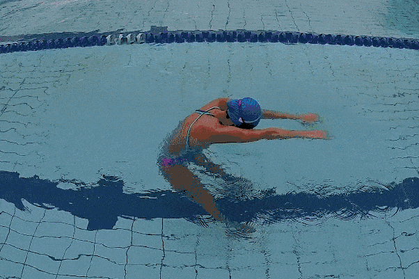 动图示范,自由泳直臂划水教学