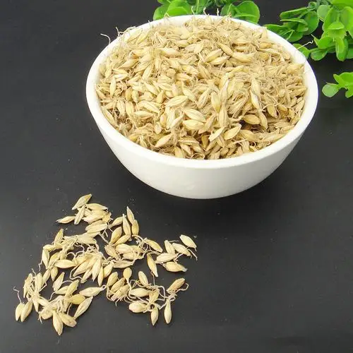 全场满46元包邮【迎辉堂】精选生麦芽 麦芽 大麦芽 500g