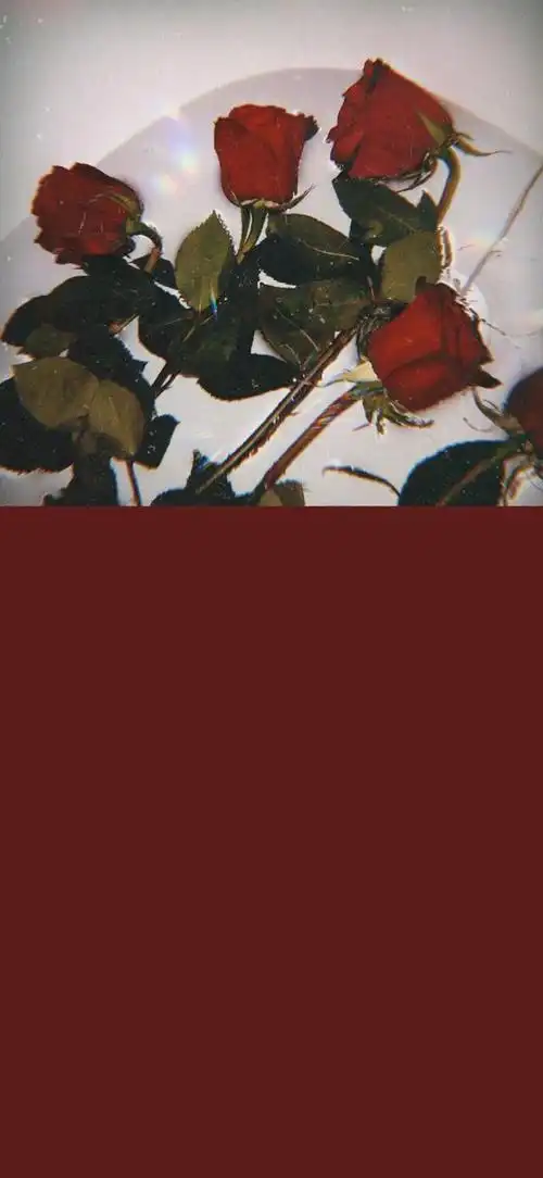 壁纸:红色系列壁纸_网易订阅