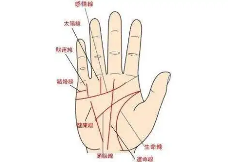图解财运线方方面面,位置判别,长度判读,深浅研读等多维度的解读财运