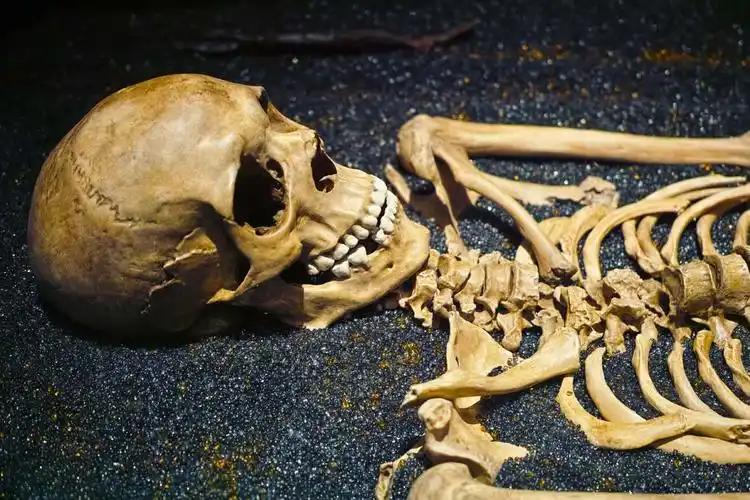 人物骨骼骨骸死亡创意高清图片