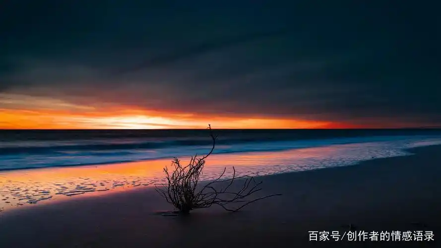 《人生断舍离》,人生的不圆满,才会去追逐完美