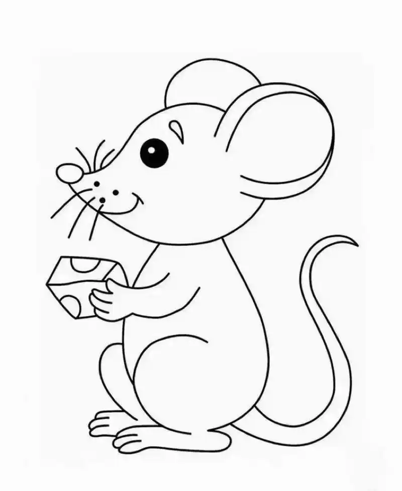 小动物简笔画涂色 小动物简笔画涂色 适合中小班的小朋友 可打印出来