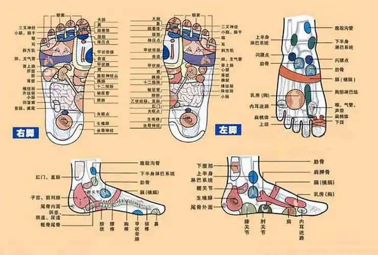 课程详情按摩保健类课程主管,医学博士,全国著名中医针灸推拿专家