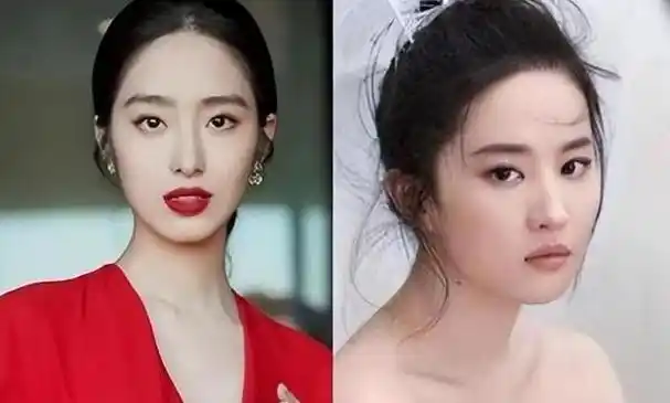 刘亦菲和杨采钰都是陈金飞力捧的女星两人差距却一目了然