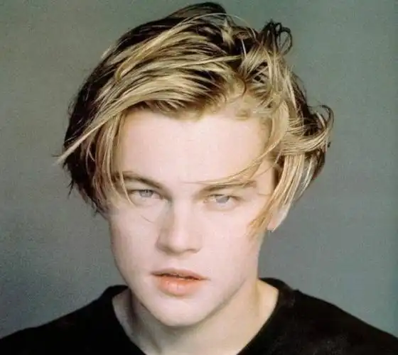 小李子全名莱昂纳多迪卡普里奥,也有翻译成李奥纳多的,因此中国粉丝都