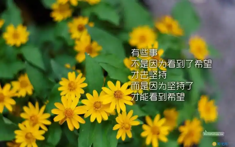 阳光网 励志 励志大全 励志图片 带字的励志图片大全   一张励志带字