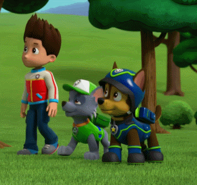 小体量以质取胜,轻而有核,《汪汪队立大功》成学龄前动画新爆款