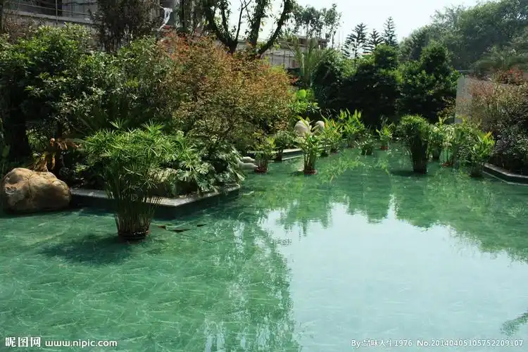 水景摄影图__自然风景_自然景观_摄影图库_昵图网nipic.com