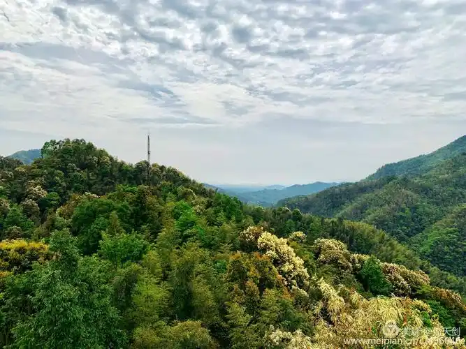 分宜黄毛洞瀑布