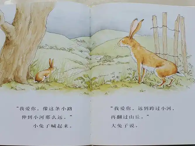 绘本故事《猜猜我有多爱你》