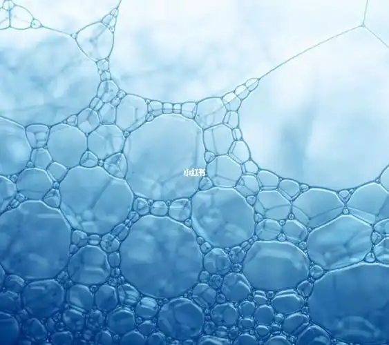 健康的保护屏障——免疫力!