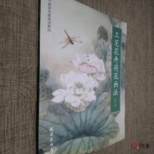 工笔花卉荷花画法花鸟技法勾线设色步骤示范详解大量范画国画入门