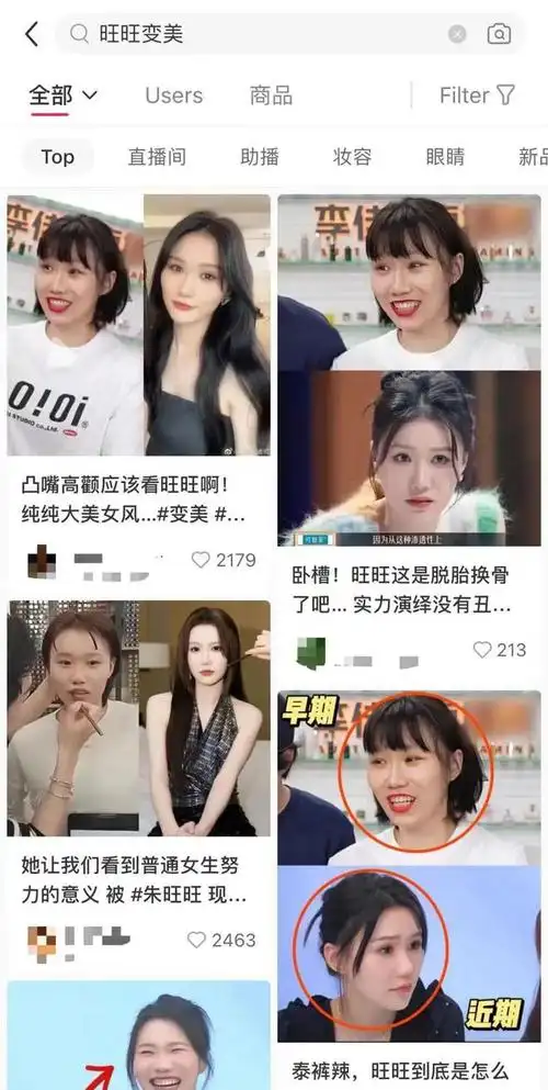 辛巴|李佳琦|小红书|王诗晴|大批艺人_网易订阅